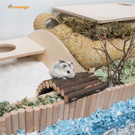 Articulos hamster PenalbaWeb.com