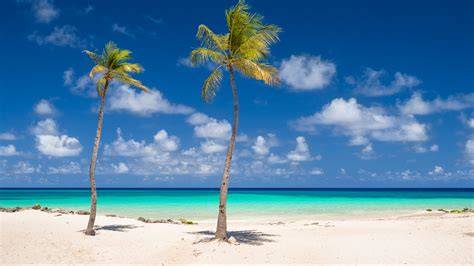 Aruba PenalbaWeb.com