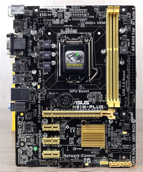 Asus h81m plus PenalbaWeb.com