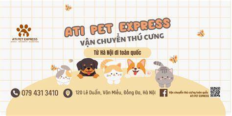 Ati express PenalbaWeb.com