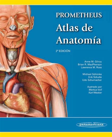 Atlas anatomia prometheus PenalbaWeb.com