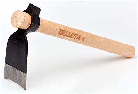 Azuela bellota PenalbaWeb.com