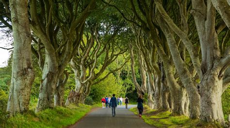 Ballymoney PenalbaWeb.com