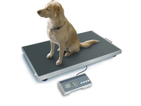 Bascula animales PenalbaWeb.com