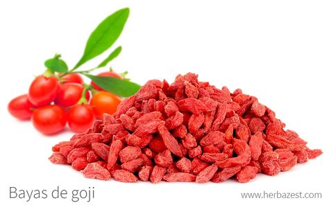 Bayas de goji PenalbaWeb.com