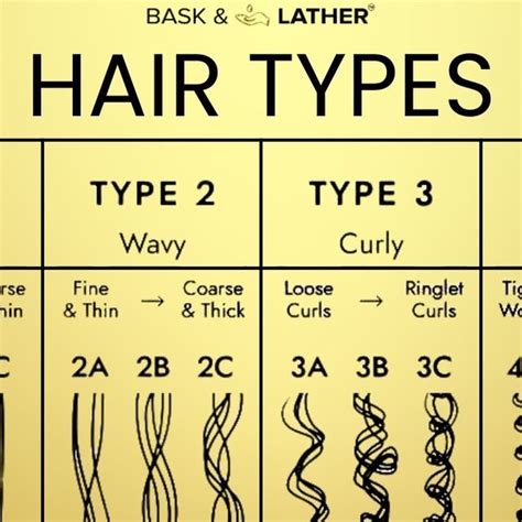 Bc hair PenalbaWeb.com