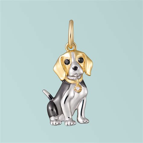 Beagle barcelona PenalbaWeb.com