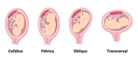 Bebe be PenalbaWeb.com