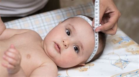 Bebe talla PenalbaWeb.com