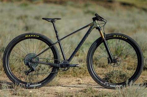 Bici 29 mtb PenalbaWeb.com