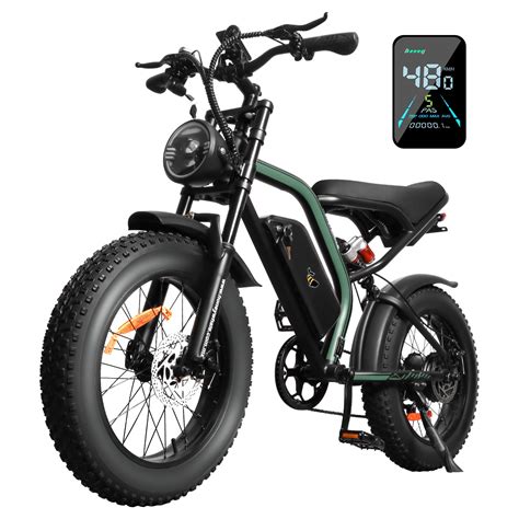 Bici electrica PenalbaWeb.com