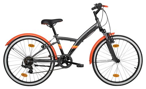 Bici polivalente PenalbaWeb.com