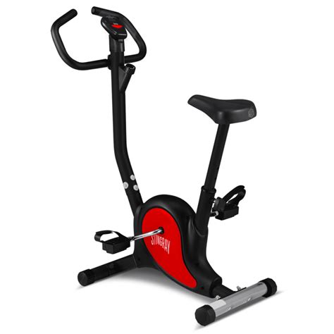 Bicicleta fija PenalbaWeb.com