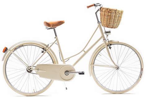 Bicicleta paseo cesta PenalbaWeb.com