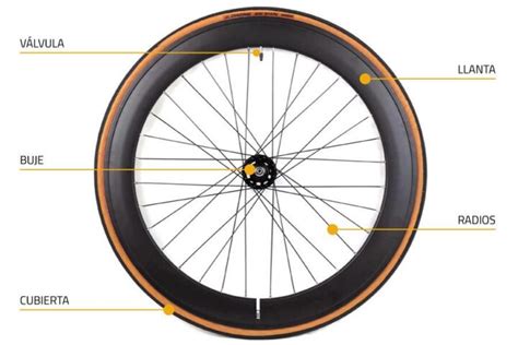 Bicicleta rueda PenalbaWeb.com