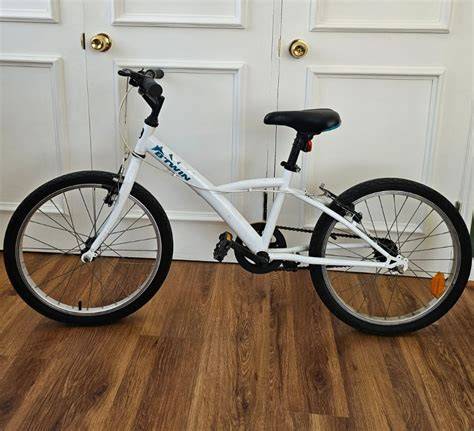 Bicicleta twin PenalbaWeb.com