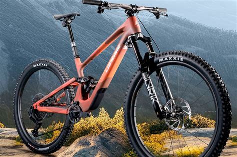 Bicicletas montaña PenalbaWeb.com