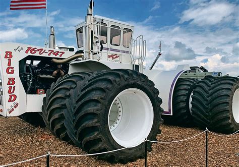 Big bud PenalbaWeb.com