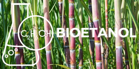 Bioetanol PenalbaWeb.com