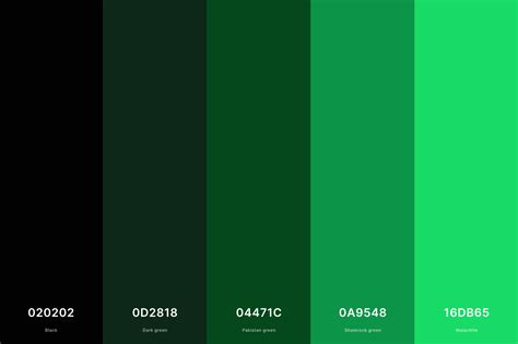 Black green PenalbaWeb.com