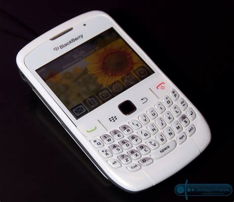 Blackberry blanca PenalbaWeb.com