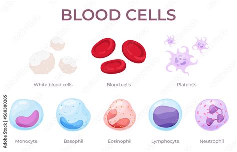 Blood PenalbaWeb.com