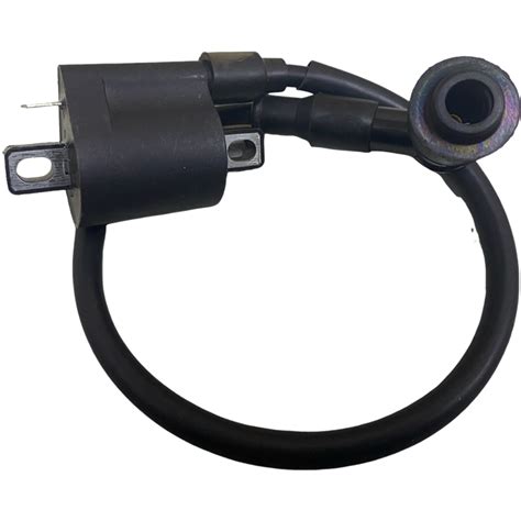 Bobina zx PenalbaWeb.com