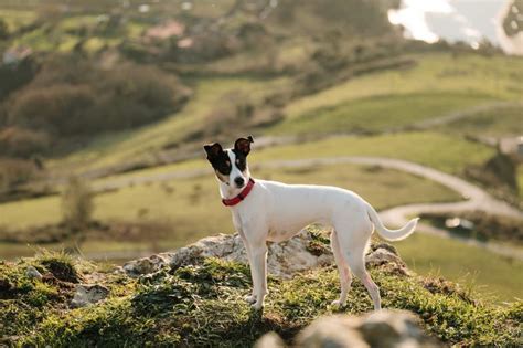 Bodeguero PenalbaWeb.com