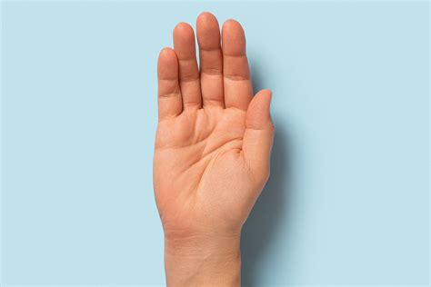 Body hand PenalbaWeb.com