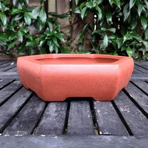 Bonsai pots PenalbaWeb.com