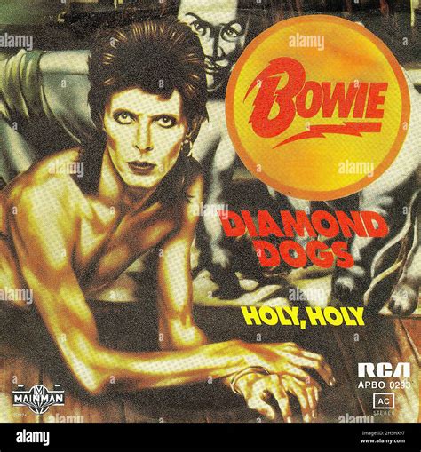Bowie dogs PenalbaWeb.com