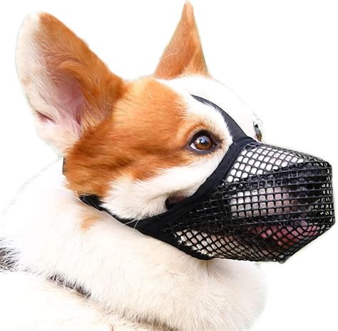 Bozal perro PenalbaWeb.com