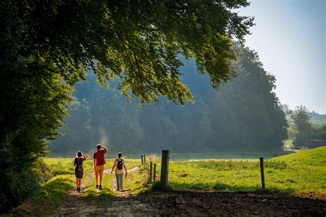 Brabant PenalbaWeb.com