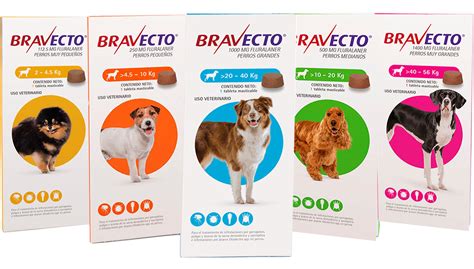 Bravecto perros PenalbaWeb.com