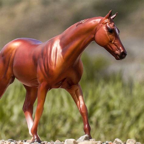 Breyer PenalbaWeb.com