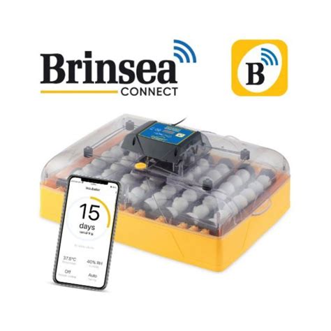 Brinsea PenalbaWeb.com