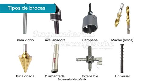 Brocas PenalbaWeb.com