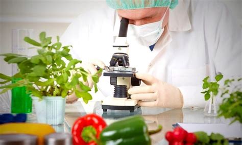 Bromatologia PenalbaWeb.com