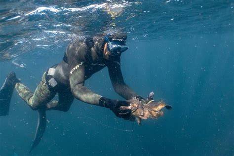 Buceo pesca PenalbaWeb.com