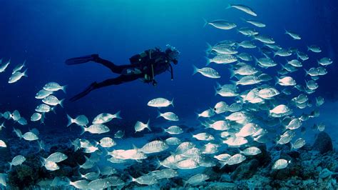 Buceo submarinismo PenalbaWeb.com
