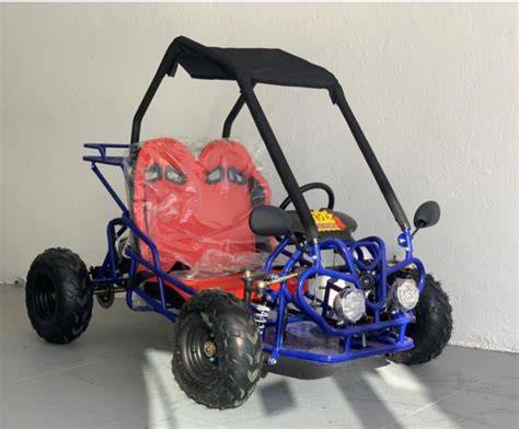Buggy infantil PenalbaWeb.com