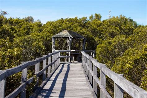 Bunbury PenalbaWeb.com