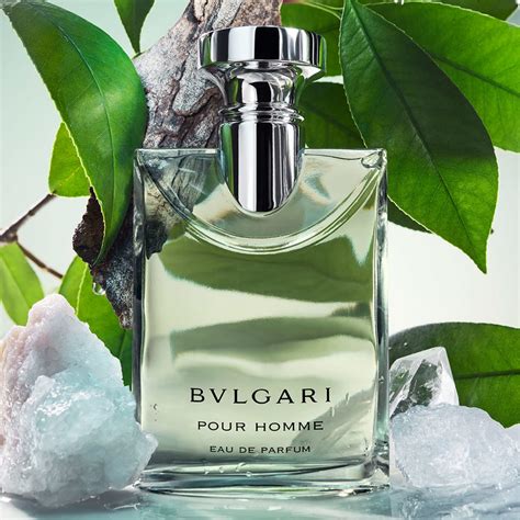 Bvlgari pour homme PenalbaWeb.com