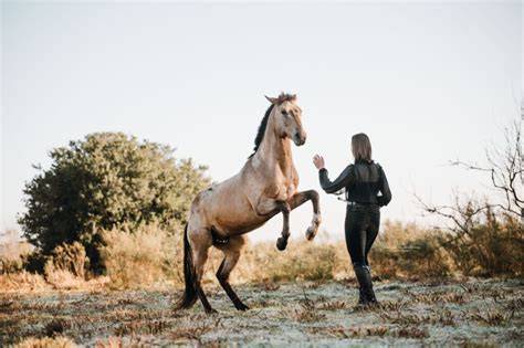 Caballo libertad PenalbaWeb.com