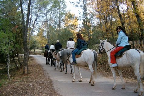 Caballo paseo PenalbaWeb.com