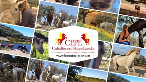 Caballos  en españa PenalbaWeb.com