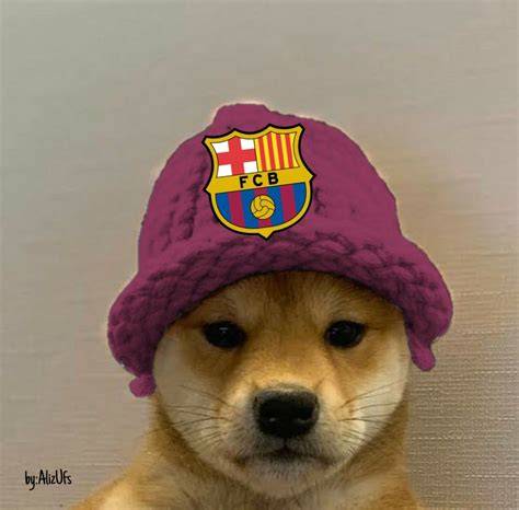 Cachorro barcelona PenalbaWeb.com