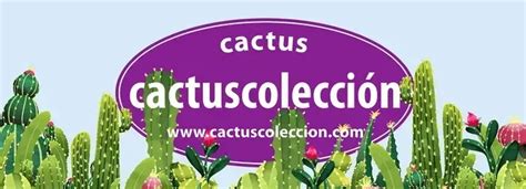 Cactus coleccion PenalbaWeb.com