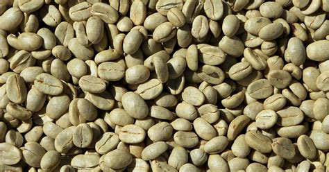 Cafe verde en grano PenalbaWeb.com
