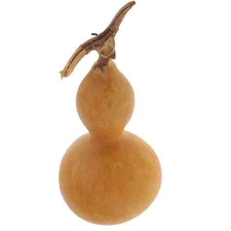 Calabaza seca PenalbaWeb.com